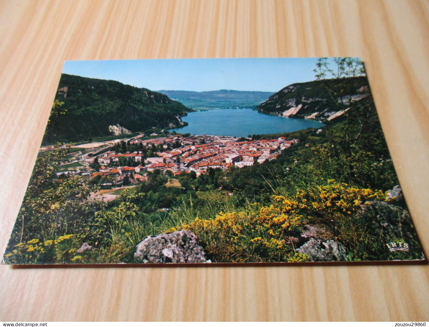 Nantua Et Son Lac (01).Vue Panoramique. - Nantua