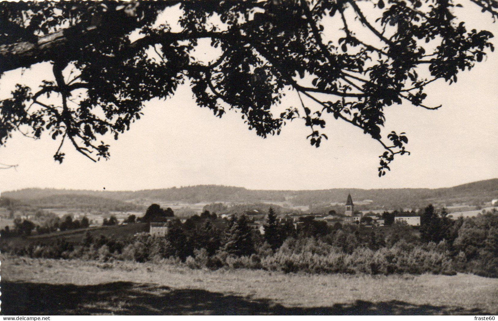 Echaudelys - Panorama ( Carte Photo) - Other & Unclassified