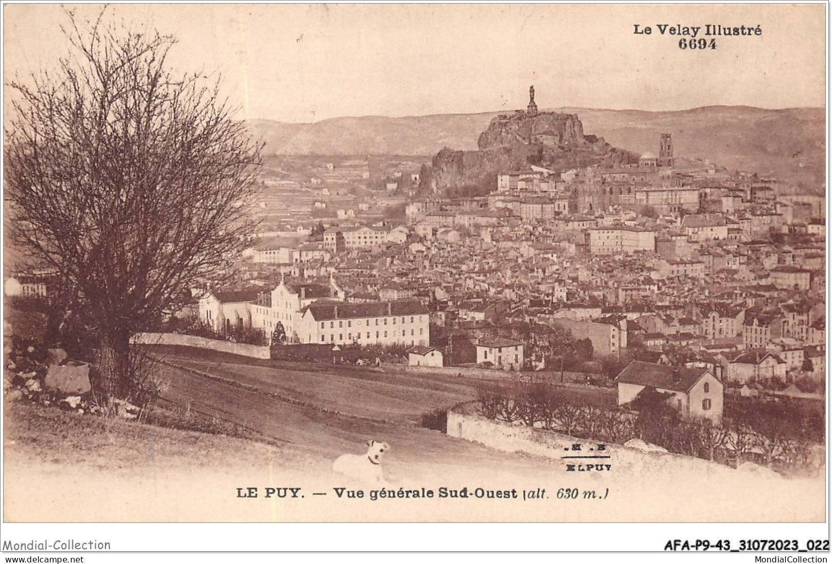 AFAP9-43-0887 - LE PUY - Vue Générale Sud-ouest - Le Puy En Velay