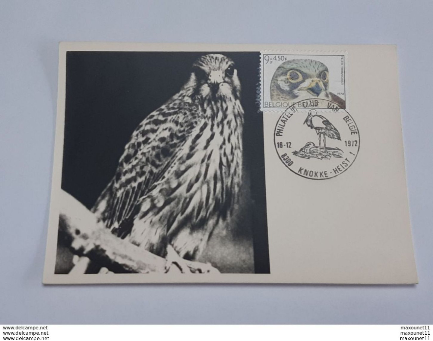 Carte - Maximum - Oiseaux - Birds - Falco Tinnunculus - Philatélie Club Van Belgie - Knokke Heist - ... Lot100 . - 1971-1980