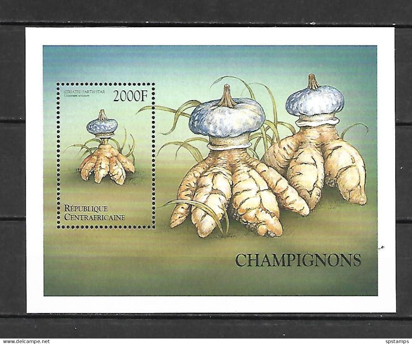 Central African 1999 Mushrooms - Fungi From Around The World MS #2 MNH - Centrafricaine (République)