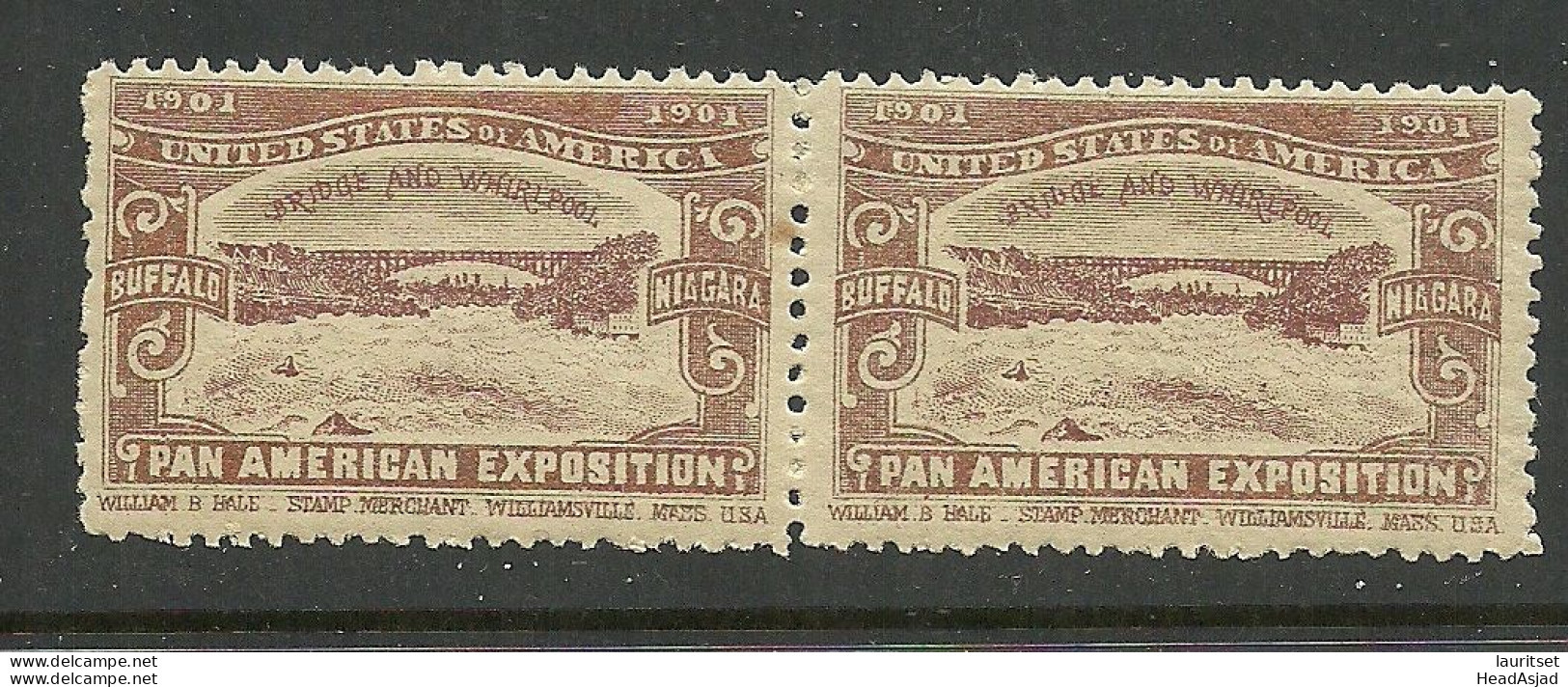 USA 1901 Pan American Exposition 1901 Buffalo & Niagara Advertising Poster Stamp Reklamemarke As Pair MNH - Unused Stamps