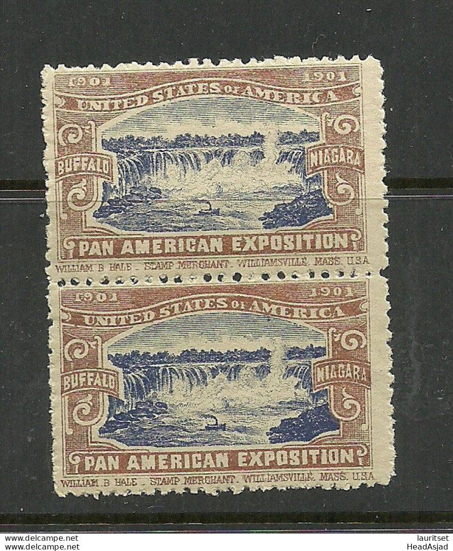 USA 1901 Pan American Exposition 1901 Buffalo & Niagara Advertising Poster Stamp Reklamemarke As Pair MNH - Unused Stamps