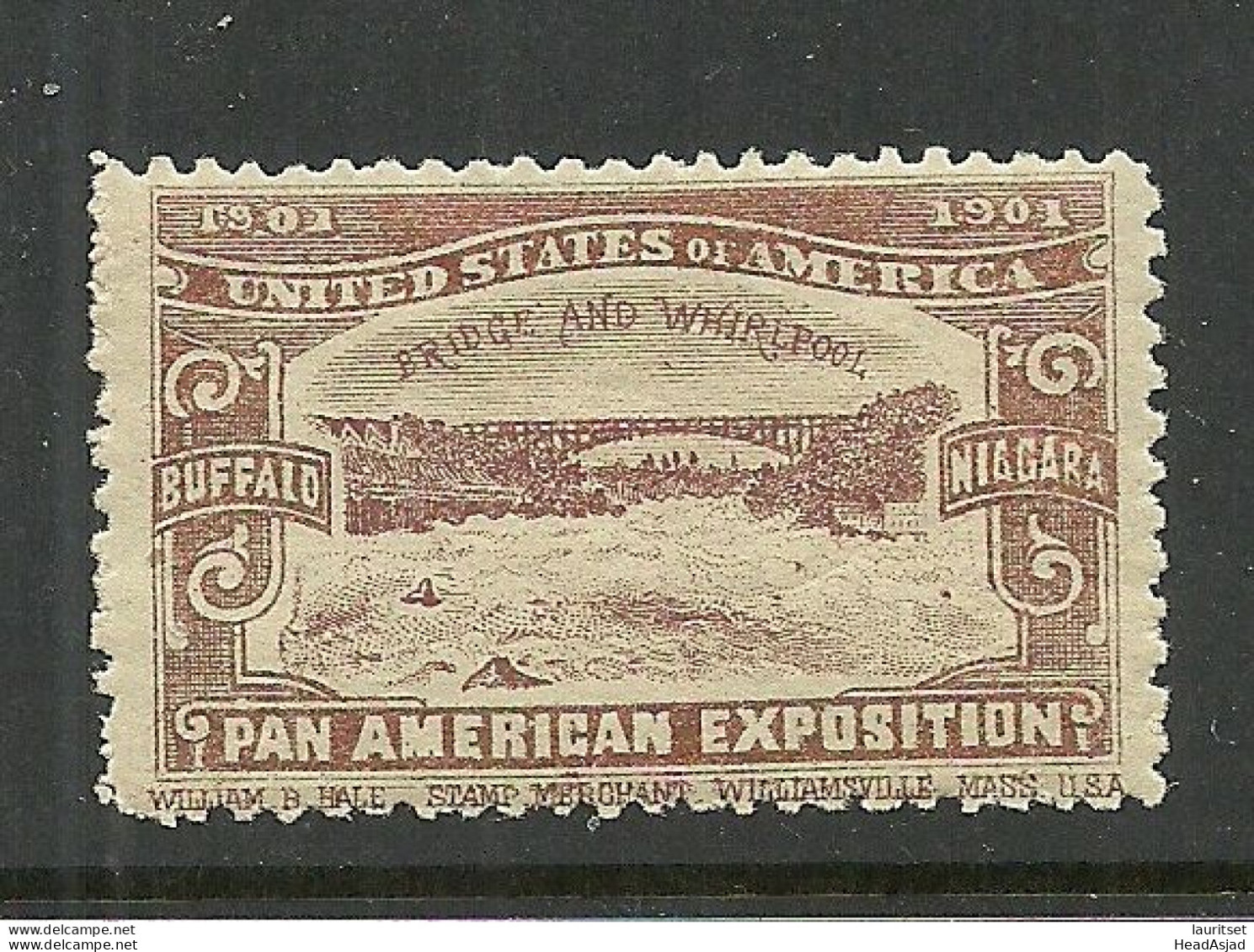 USA 1901 Pan American Exposition 1901 Buffalo & Niagara Advertising Poster Stamp Reklamemarke MNH - Cinderellas