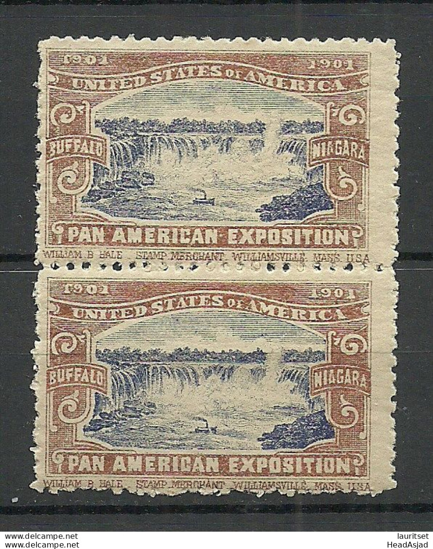 USA 1901 Pan American Exposition 1901 Buffalo & Niagara Advertising Poster Stamp Reklamemarke As Pair MNH - Unused Stamps