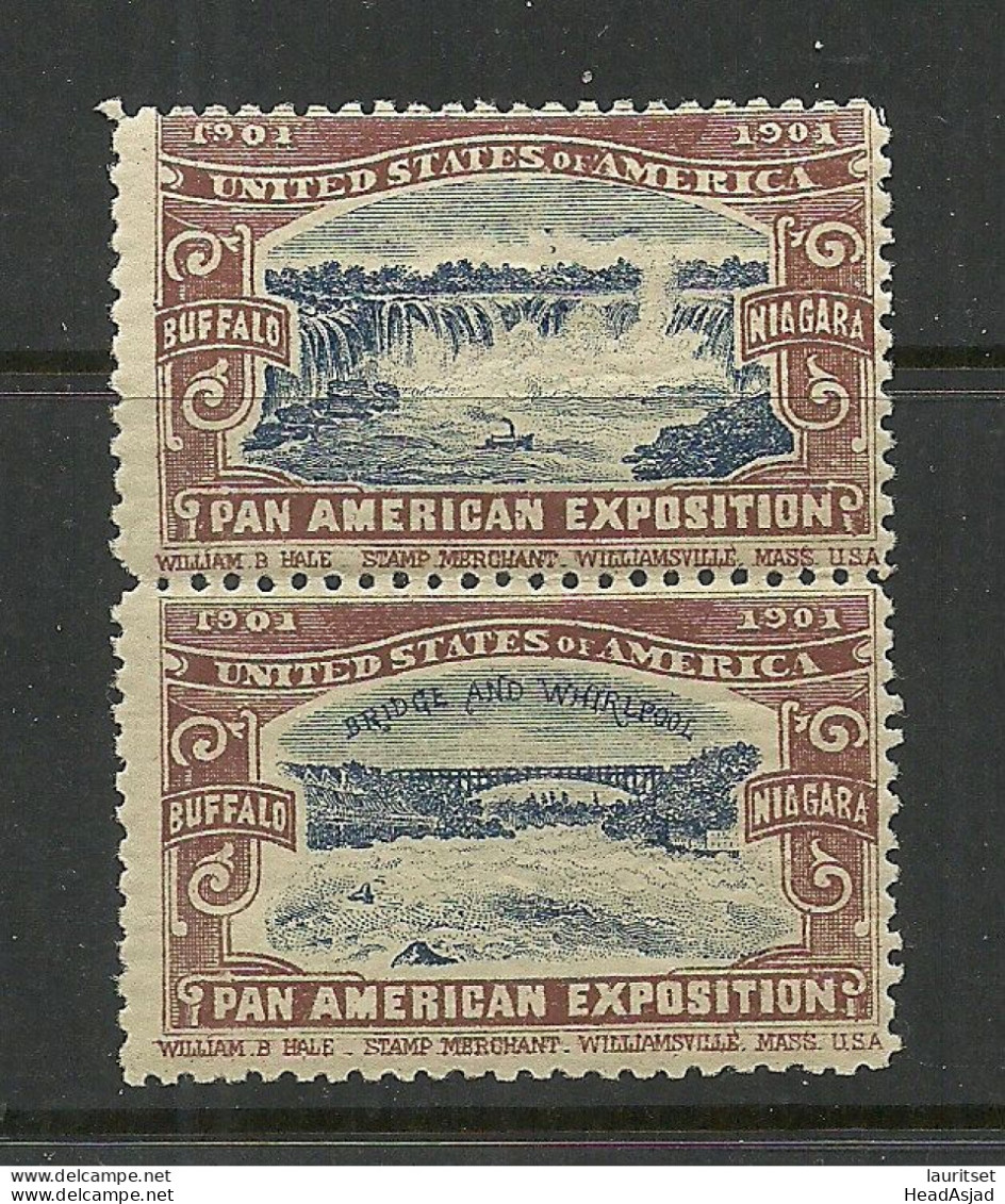 USA 1901 Pan American Exposition 1901 Buffalo & Niagara Advertising Poster Stamp Reklamemarke As Pair MNH - Neufs