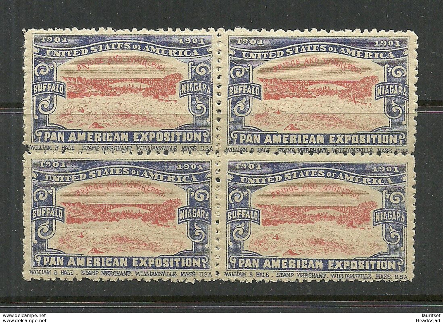 USA 1901 Pan American Exposition 1901 Buffalo & Niagara Advertising Poster Stamp Reklamemarke As 4-block MNH - Unused Stamps