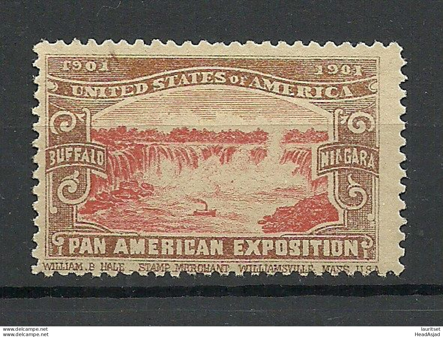 USA 1901 Pan American Exposition 1901 Buffalo & Niagara Advertising Poster Stamp Reklamemarke (*) - Unused Stamps