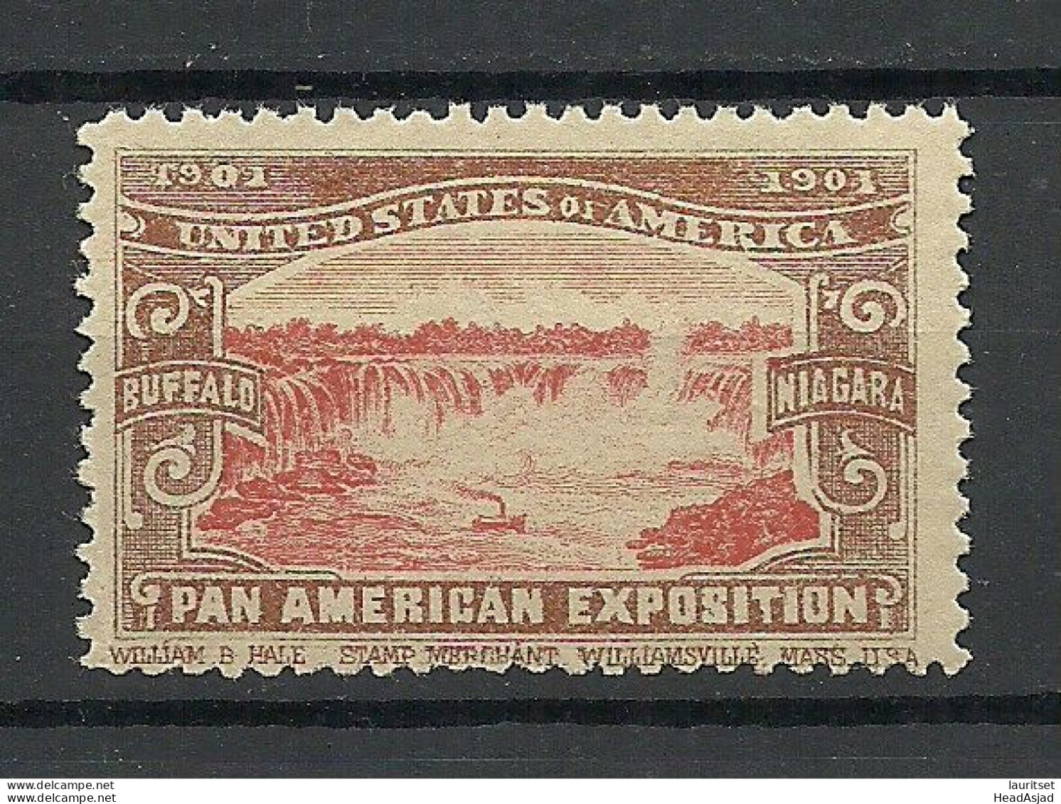 USA 1901 Pan American Exposition 1901 Buffalo & Niagara Advertising Poster Stamp Reklamemarke (*) - Erinnophilie