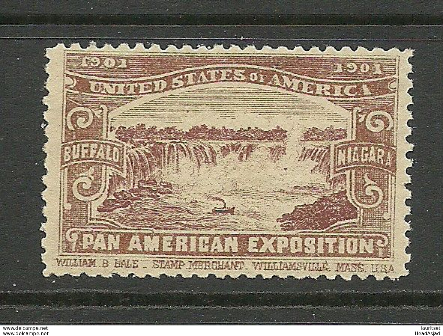 USA 1901 Pan American Exposition 1901 Buffalo & Niagara Advertising Poster Stamp Reklamemarke (*) Mint No Gum - Ungebraucht
