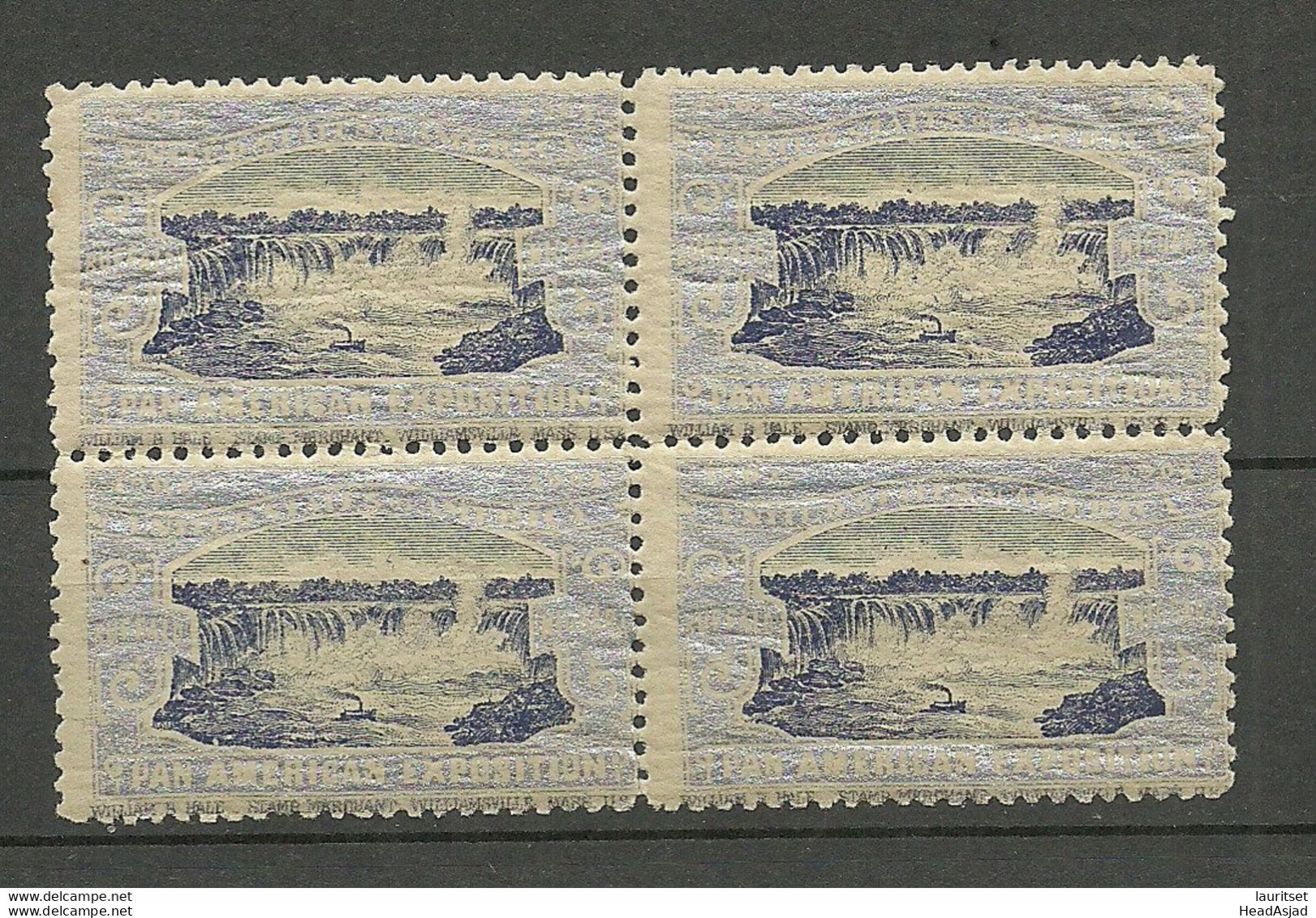 USA 1901 Pan American Exposition 1901 Buffalo & Niagara Advertising Poster Stamp Reklamemarke As 4-block MNH - Neufs