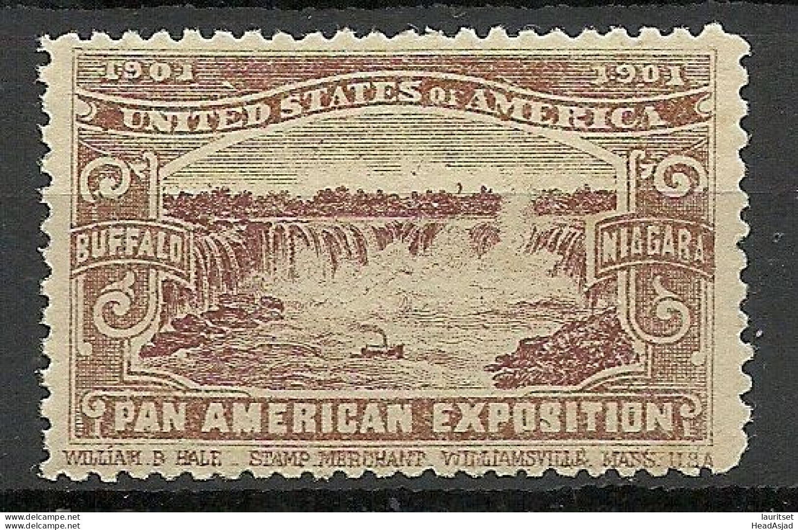 USA 1901 Pan American Exposition 1901 Buffalo & Niagara Advertising Poster Stamp Reklamemarke (*) Mint No Gum - Cinderellas