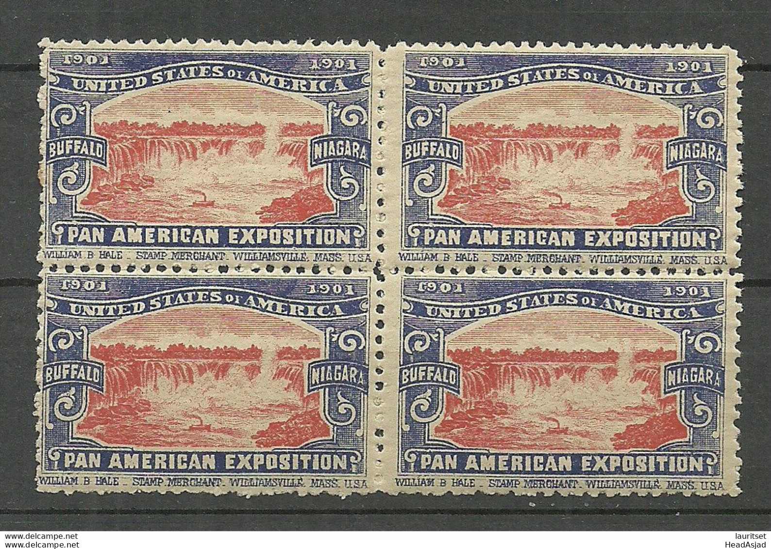 USA 1901 Pan American Exposition 1901 Buffalo & Niagara Advertising Poster Stamp Reklamemarke As 4-block MNH - Neufs