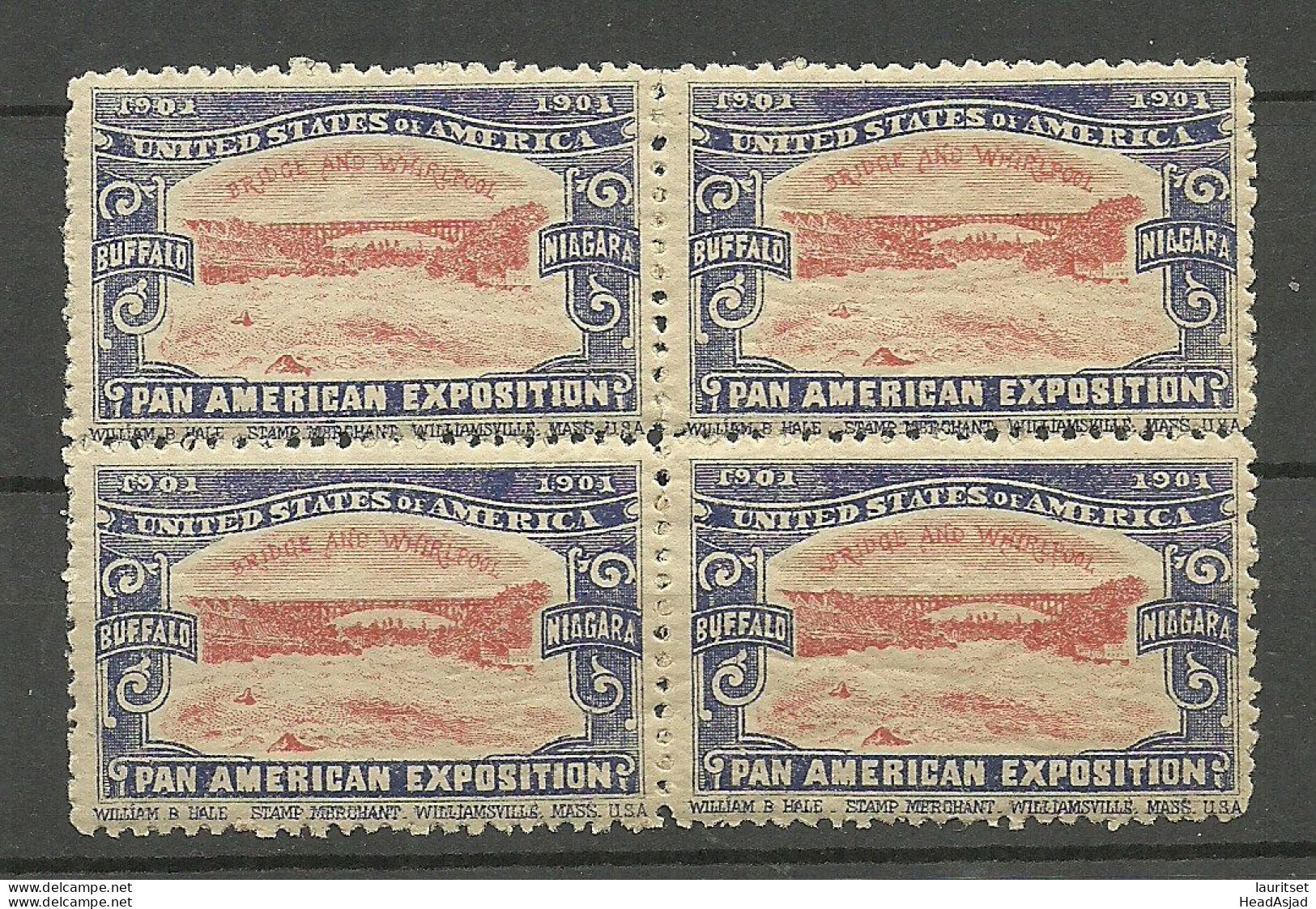 USA 1901 Pan American Exposition 1901 Buffalo & Niagara Advertising Poster Stamp Reklamemarke As 4-block MNH - Unused Stamps