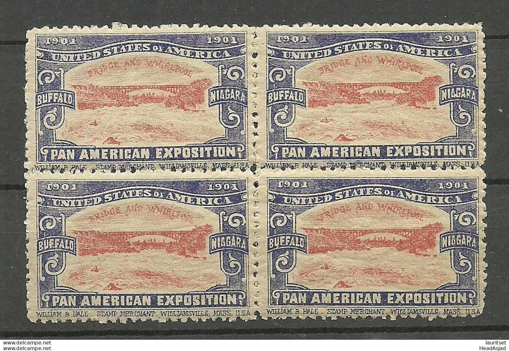 USA 1901 Pan American Exposition 1901 Buffalo & Niagara Advertising Poster Stamp Reklamemarke As 4-block MNH - Neufs