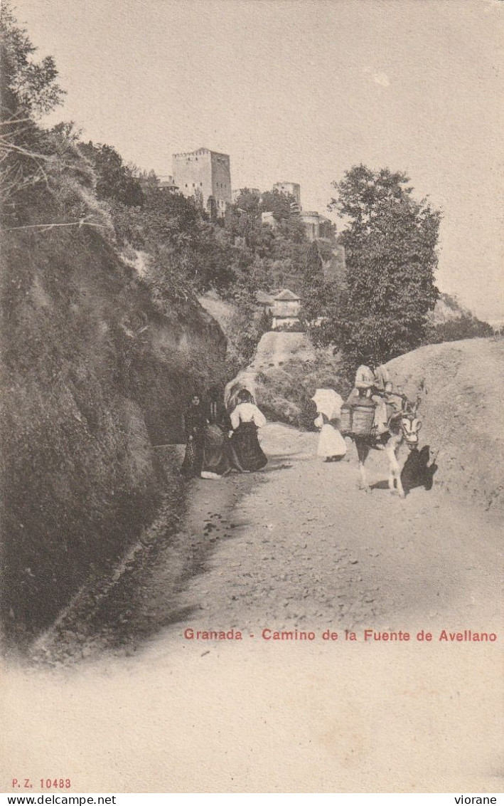 Camino De La Fuente De Avellano - Granada