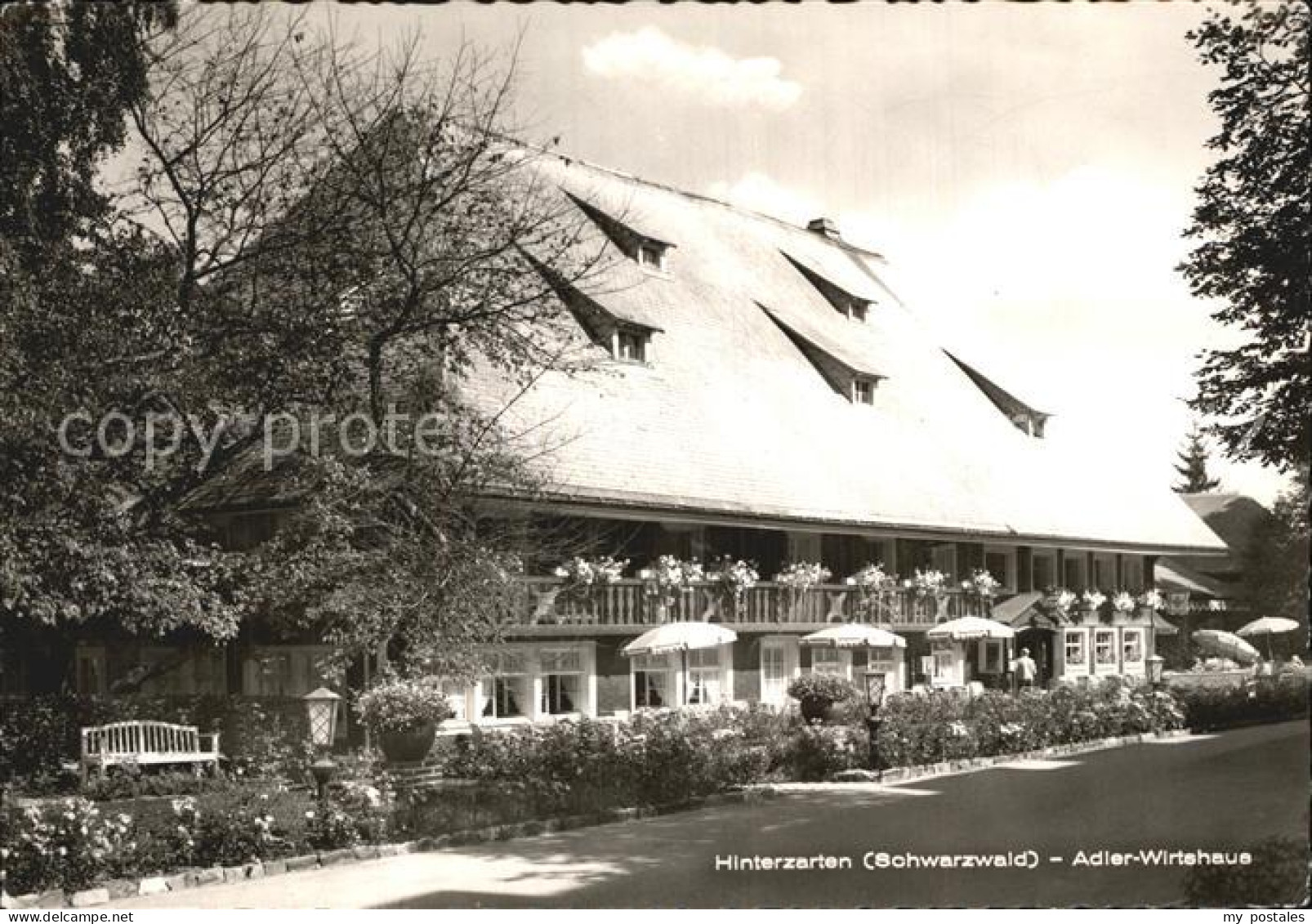 72502320 Hinterzarten Adler Wirtshaus Hinterzarten - Hinterzarten