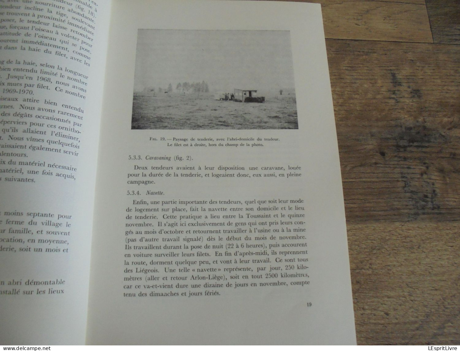 LES NATURALISTES BELGES N° 1 Année 1971 Régionalisme La Tenderie au Luxembourg Belge Oiseaux Sandre Hêtre Forêt Soignes