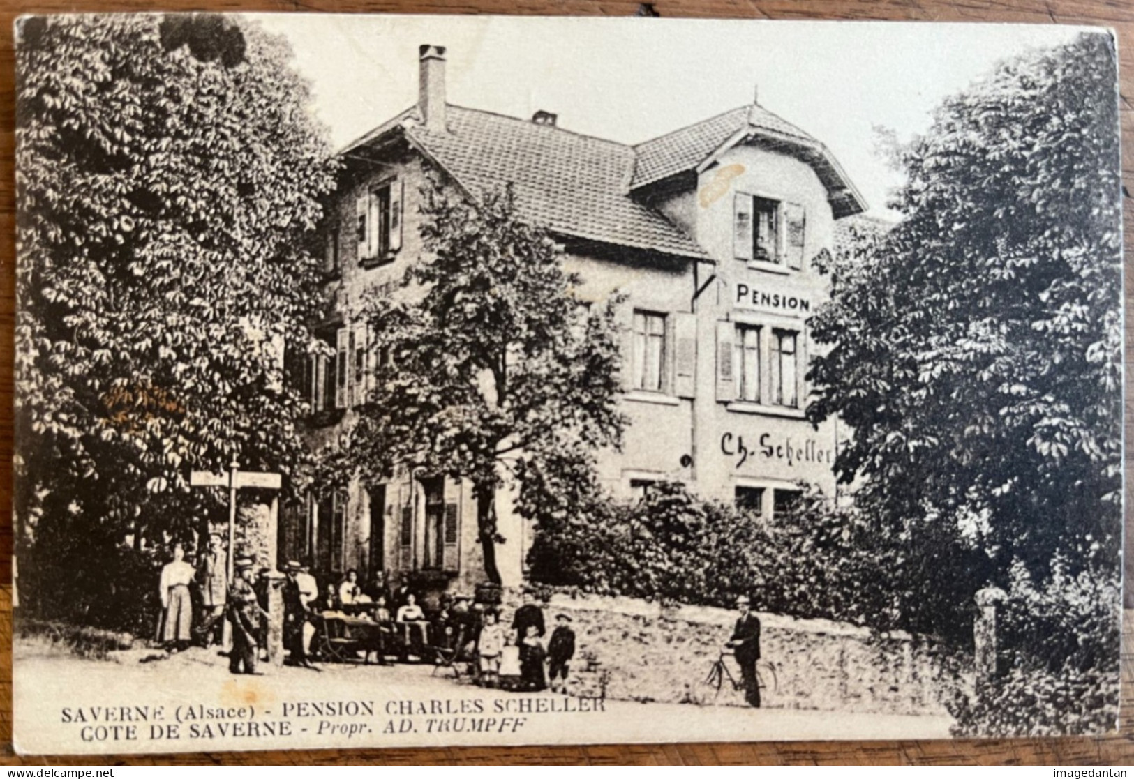 Saverne - Pension Charles Scheller - Côte De Saverne - Prop. AD. TRUMPFF - Saverne