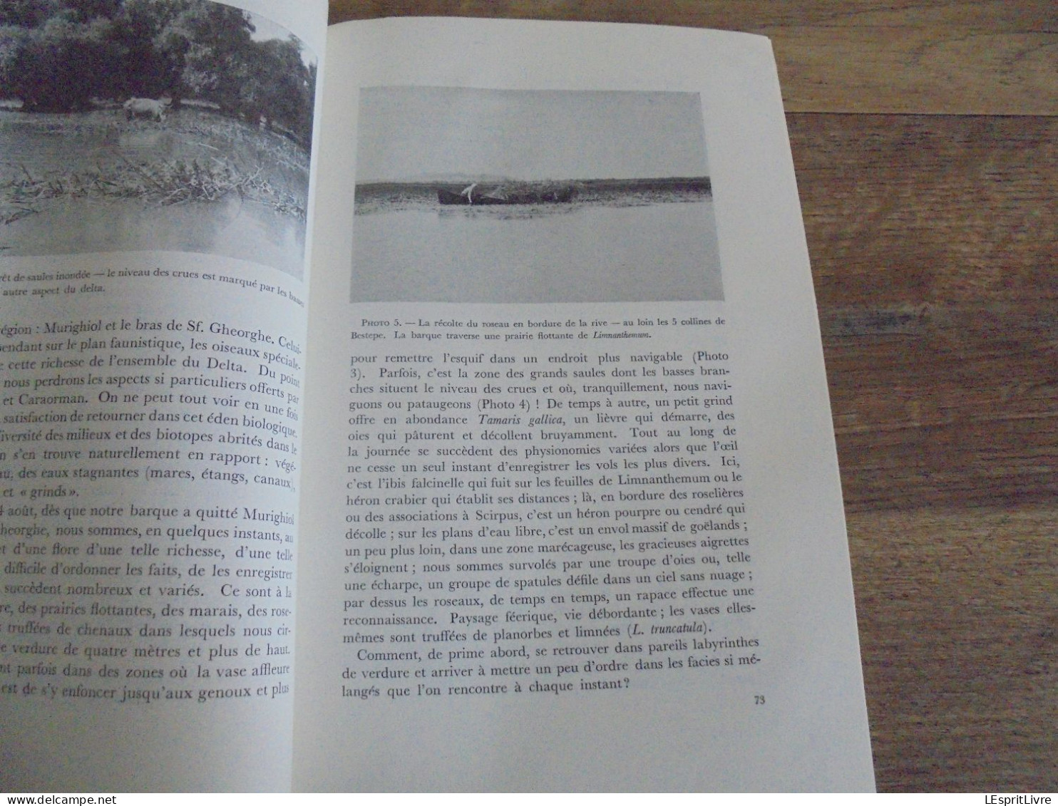 LES NATURALISTES BELGES N° 2 Année 1971 Régionalisme Dobrogea Delta Danube Régions Naturelles Entre Sambre et Meuse