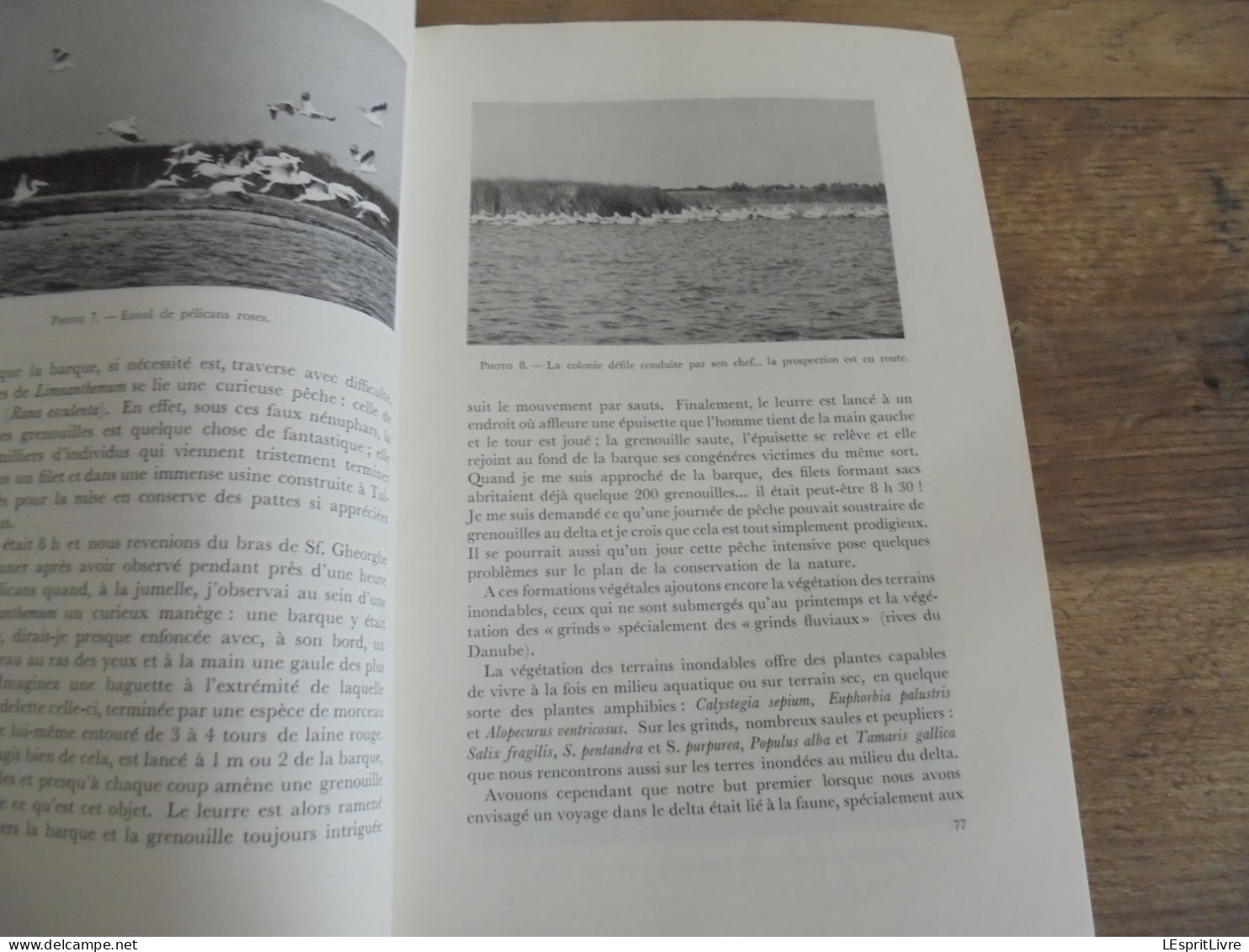 LES NATURALISTES BELGES N° 2 Année 1971 Régionalisme Dobrogea Delta Danube Régions Naturelles Entre Sambre et Meuse