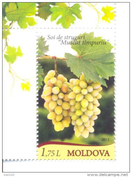 2013. Moldova, Grape, 1v, Mint/** - Moldova