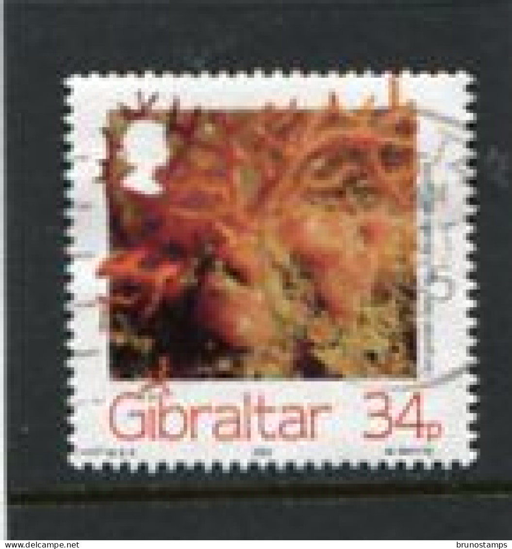GIBRALTAR - 1994  34p  MARINE LIFE  FINE USED - Gibraltar