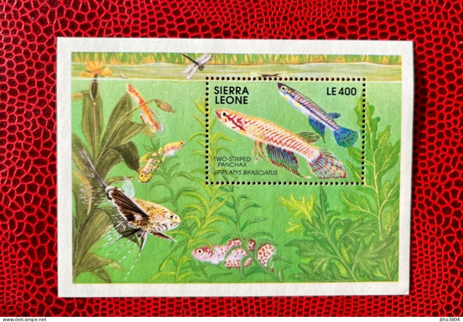 SIERRA LEONE 1991 Bloc 1v Neuf MNH ** Mi Bl 165 Pez Fish Peixe Fisch Pesce Poisson - Poissons