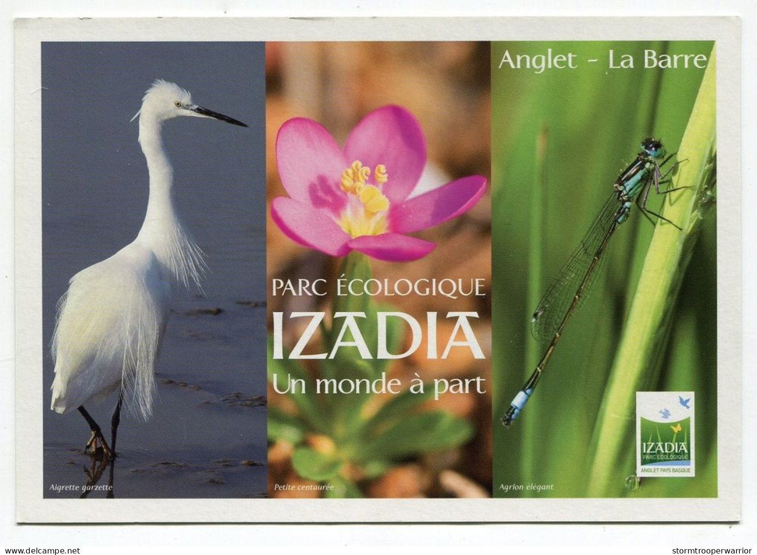 Cpm - ANGLET La Barre - Parc écologique IZADIA - Oiseaux Libellule - Anglet
