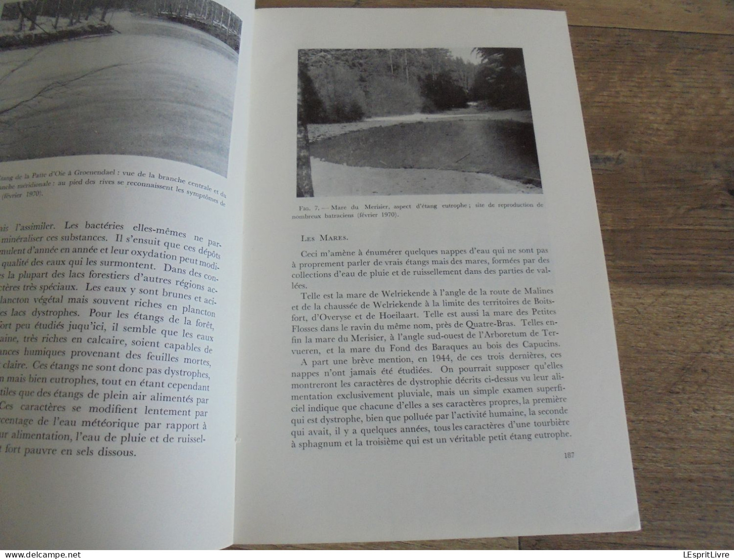 LES NATURALISTES BELGES N° 4 Année 1971 Régionalisme Les Etangs De La Forët De Soignes Médoc France Botanique - Belgium