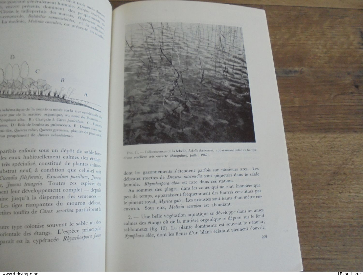 LES NATURALISTES BELGES N° 4 Année 1971 Régionalisme Les Etangs de la Forët de Soignes Médoc France Botanique