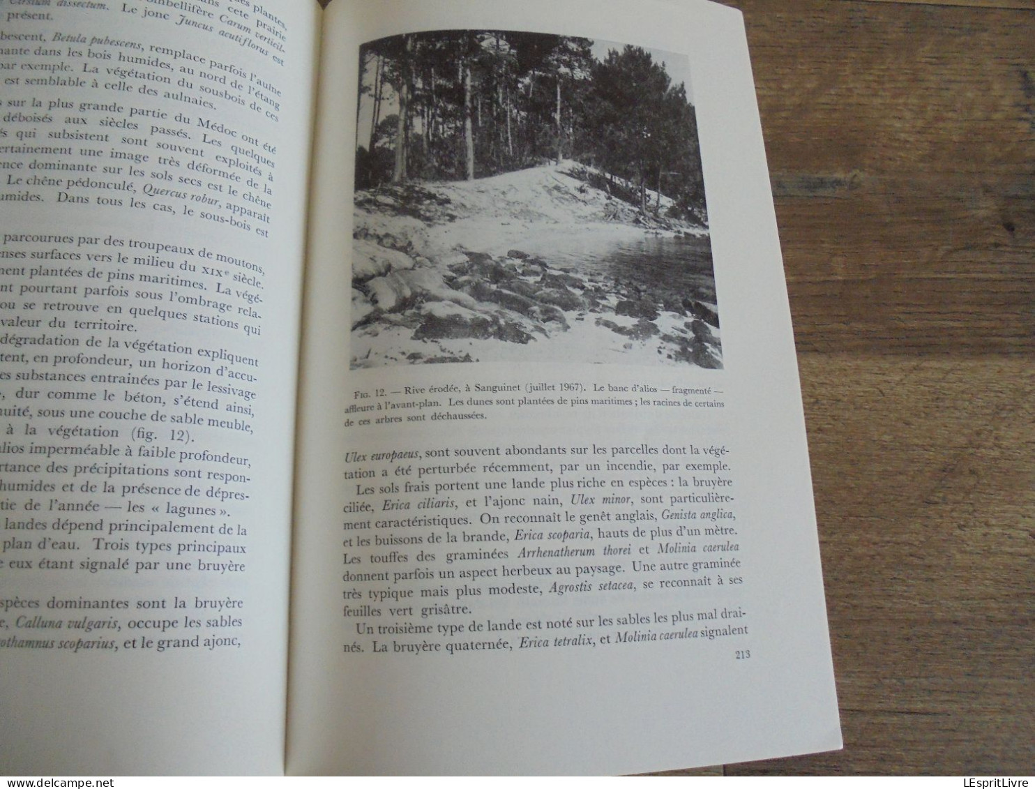 LES NATURALISTES BELGES N° 4 Année 1971 Régionalisme Les Etangs de la Forët de Soignes Médoc France Botanique