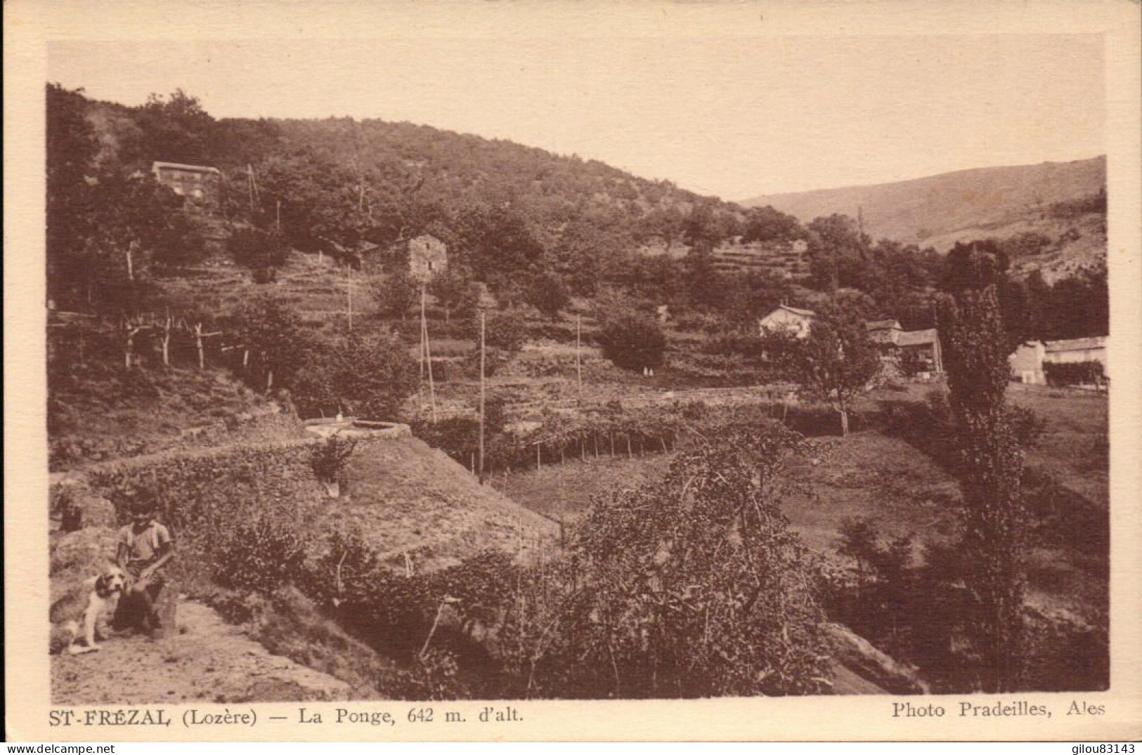 Lozere, Saint Frézal, La Ponge - Andere & Zonder Classificatie