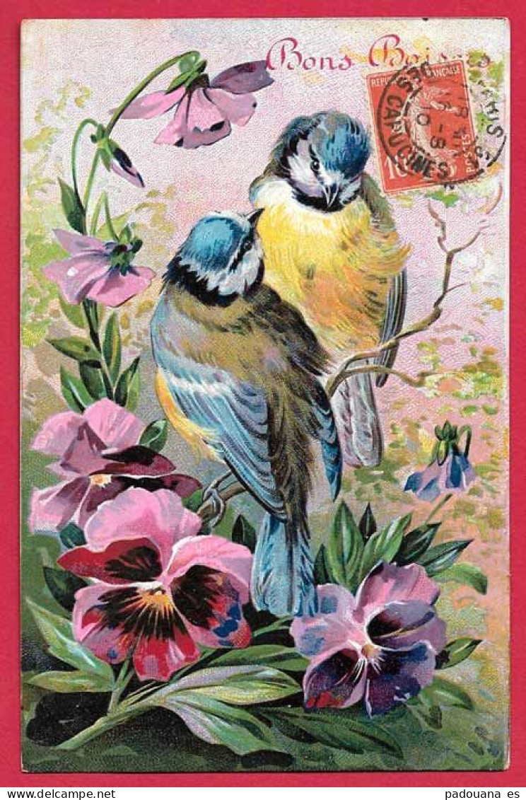 AA277 FANTAISIES OISEAUX MESANGES BLEUES COUPLE FLEURS DE PENSEES -1910 - Birds