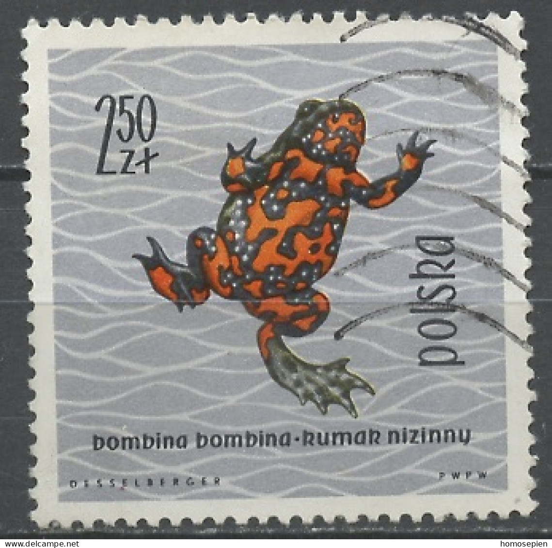 Pologne - Poland - Polen 1963 Y&T N°1268 - Michel N°1402 (o) - 2,50z Grenouille Rouge - Used Stamps