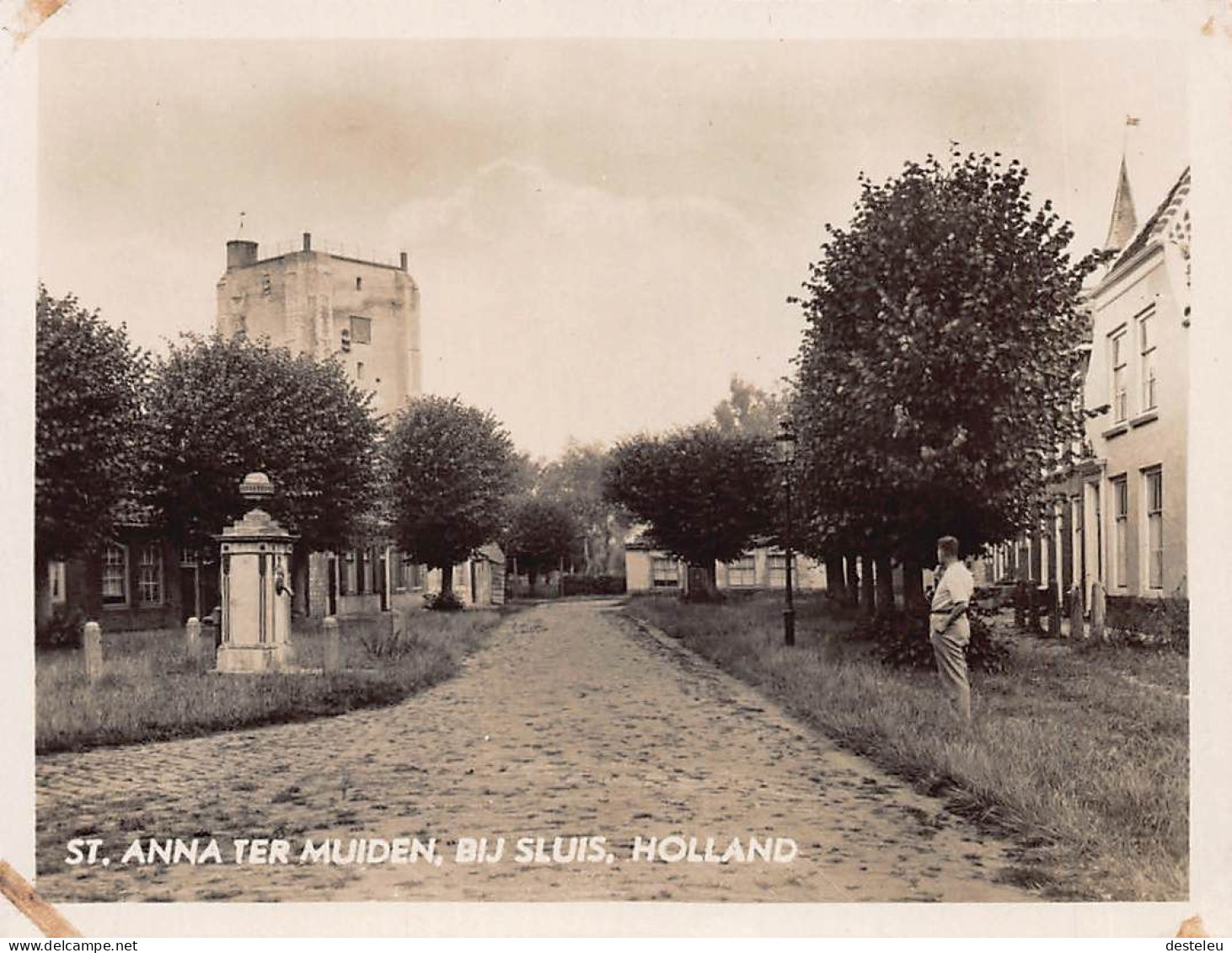 Prentje Molen Sluis - 6.5 X 8.5 Cm - Sluis