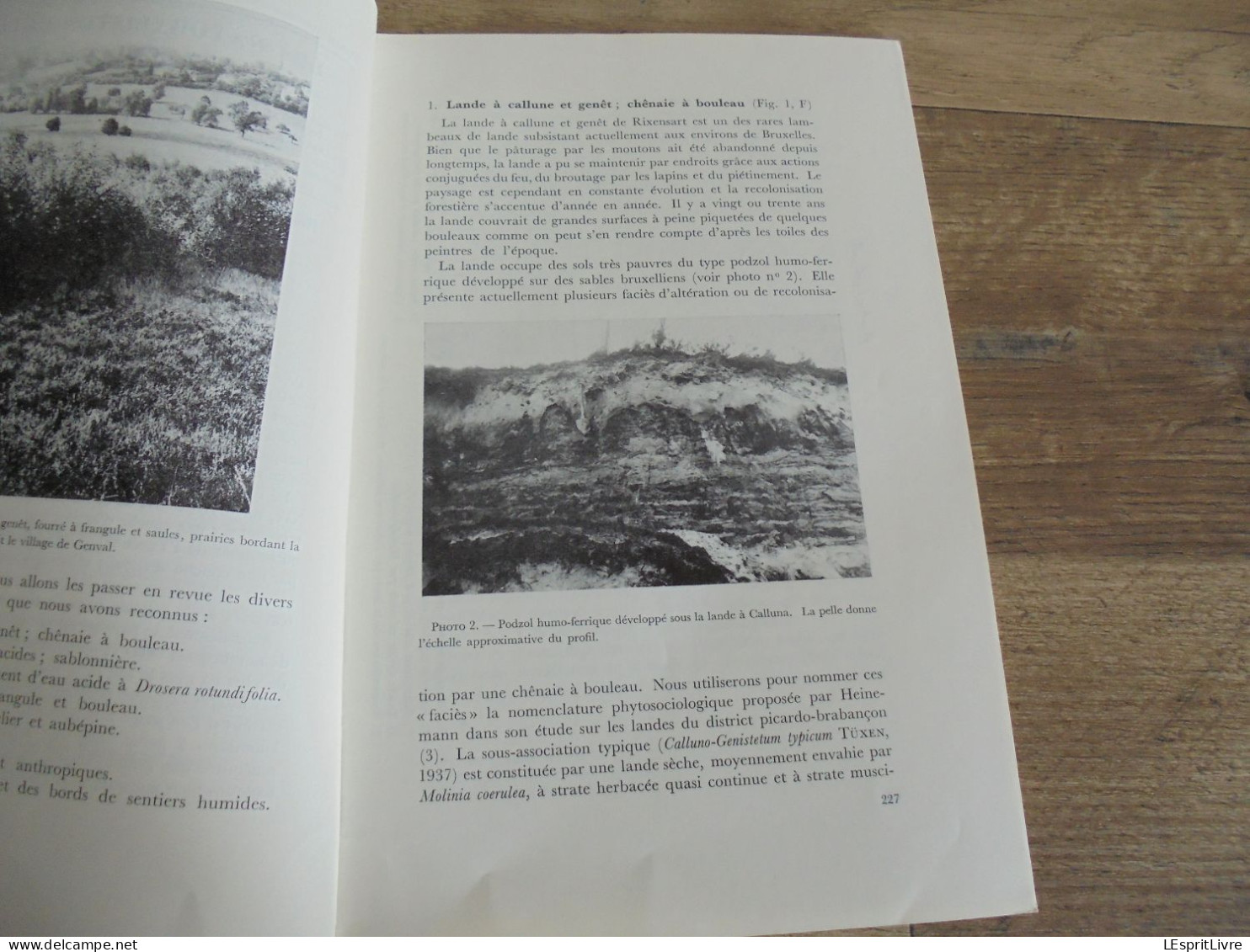 LES NATURALISTES BELGES N° 5 Année 1971 Régionalisme Lande De Rixensart Migrations Des Oiseaux Botanique Flore - Belgien