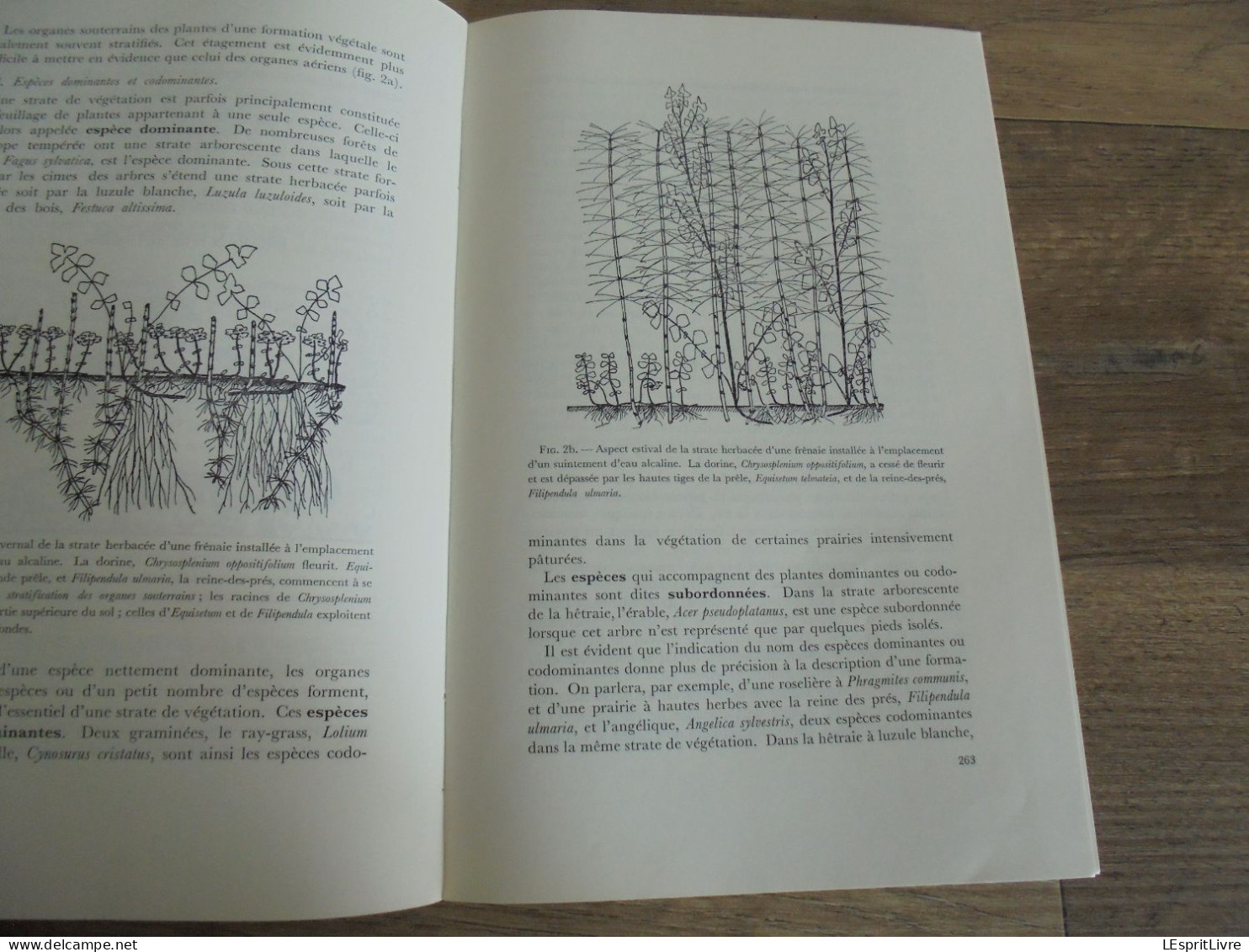 LES NATURALISTES BELGES N° 5 Année 1971 Régionalisme Lande de Rixensart Migrations des Oiseaux Botanique Flore