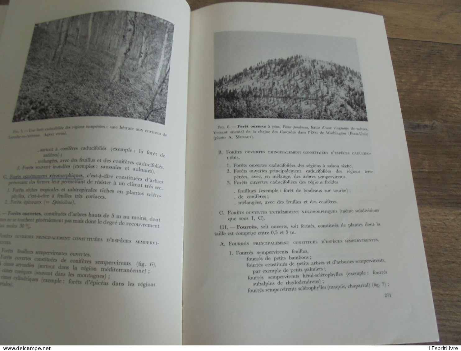 LES NATURALISTES BELGES N° 5 Année 1971 Régionalisme Lande de Rixensart Migrations des Oiseaux Botanique Flore