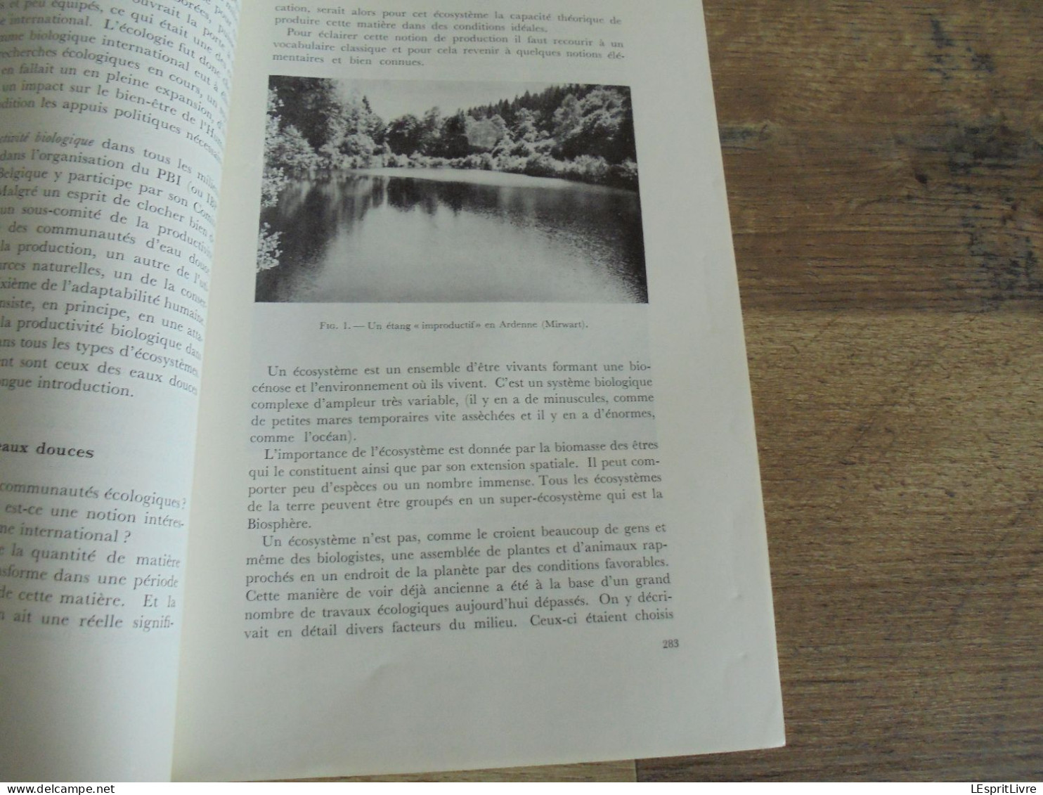 LES NATURALISTES BELGES N° 6 Année 1971 Régionalisme Etangs Eaux Douces Mirwart Ardenne Végétation Botanique Flore - Belgium