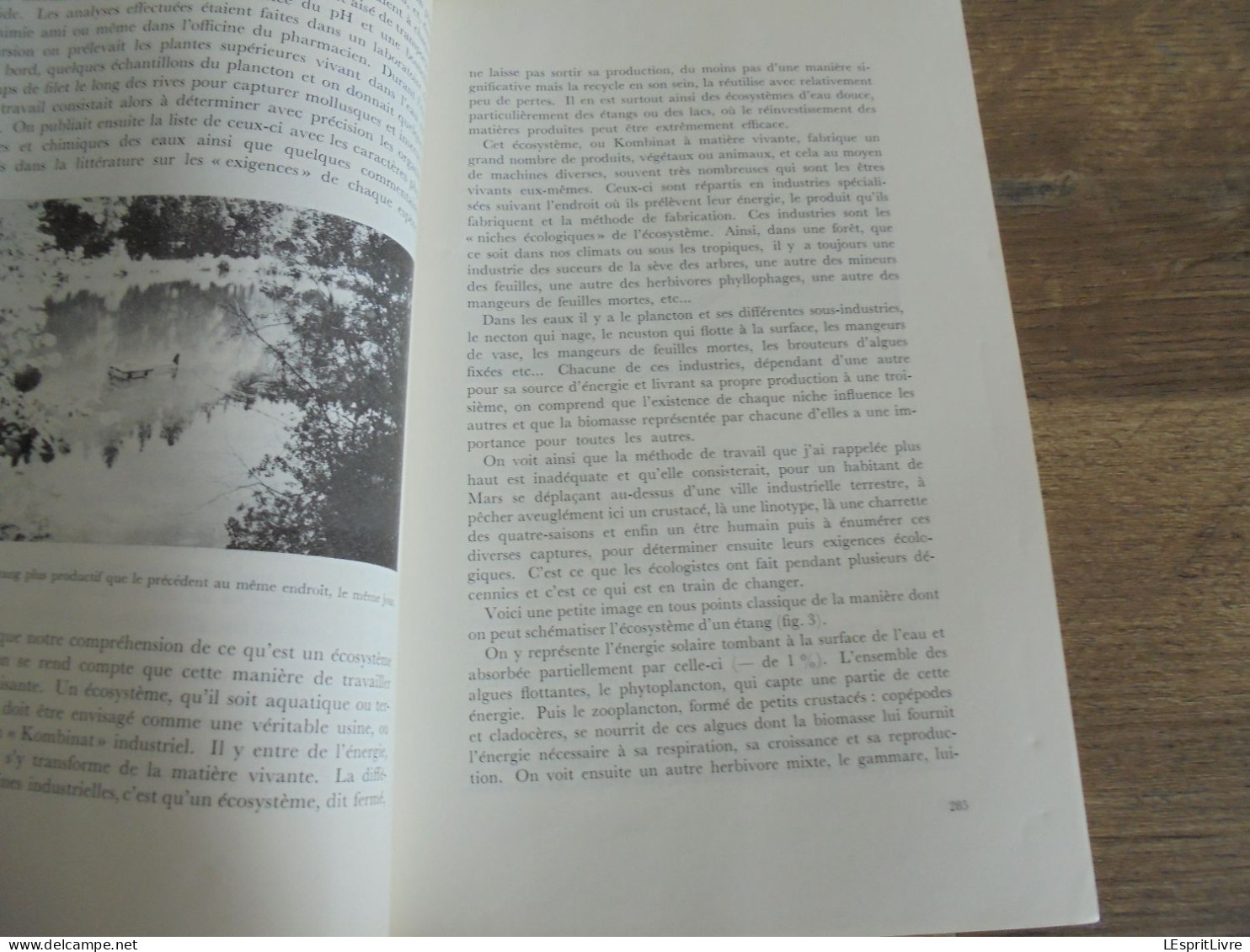 LES NATURALISTES BELGES N° 6 Année 1971 Régionalisme Etangs Eaux Douces Mirwart Ardenne Végétation Botanique Flore - Belgium