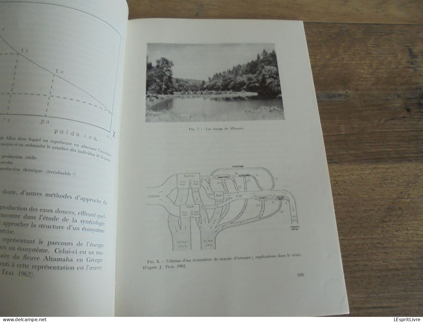 LES NATURALISTES BELGES N° 6 Année 1971 Régionalisme Etangs Eaux Douces Mirwart Ardenne Végétation Botanique Flore