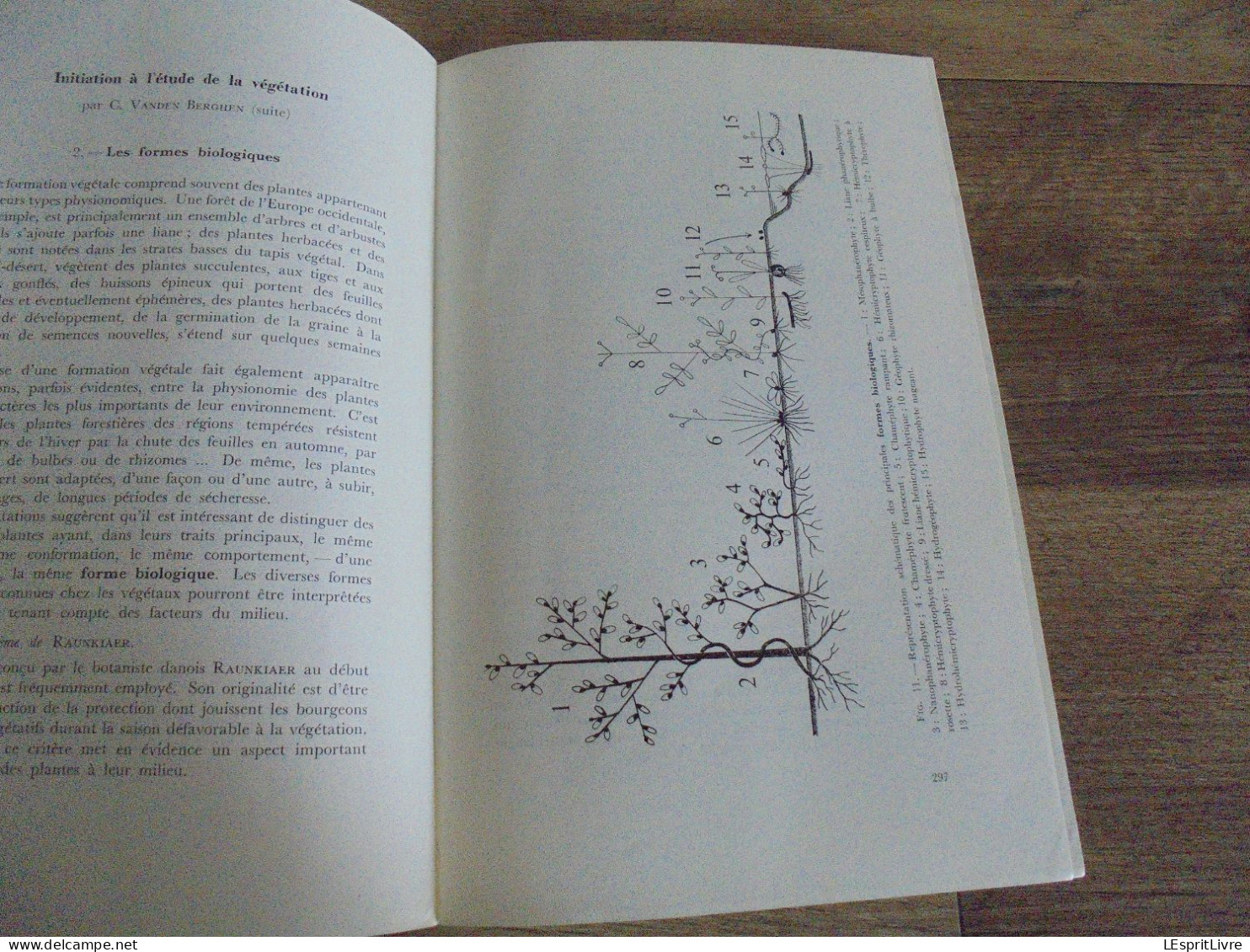 LES NATURALISTES BELGES N° 6 Année 1971 Régionalisme Etangs Eaux Douces Mirwart Ardenne Végétation Botanique Flore