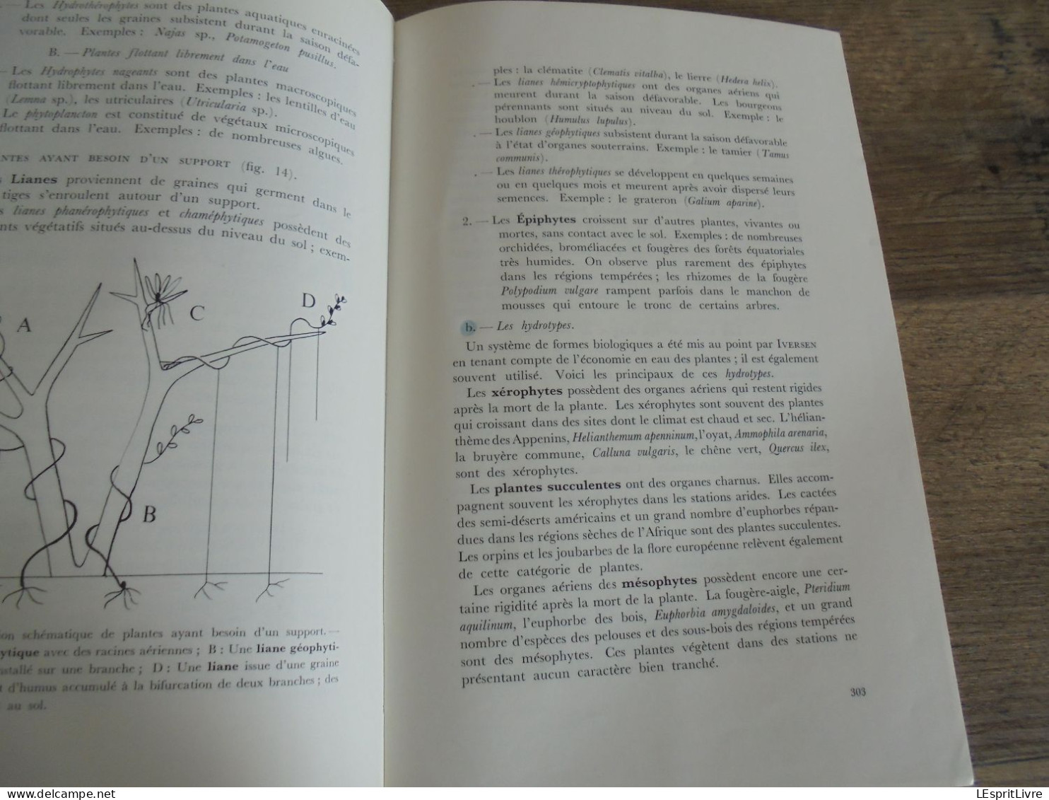 LES NATURALISTES BELGES N° 6 Année 1971 Régionalisme Etangs Eaux Douces Mirwart Ardenne Végétation Botanique Flore