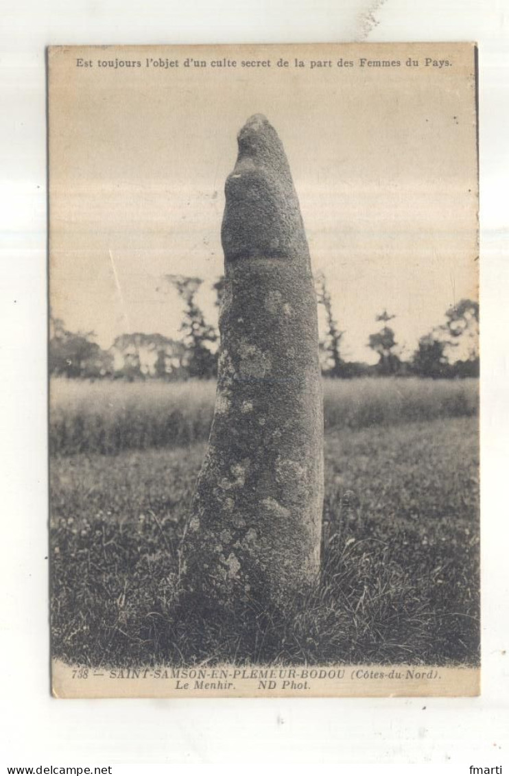 738. Saint Samson En Pleumeur Bodou, Le Menhir - Pleumeur-Bodou