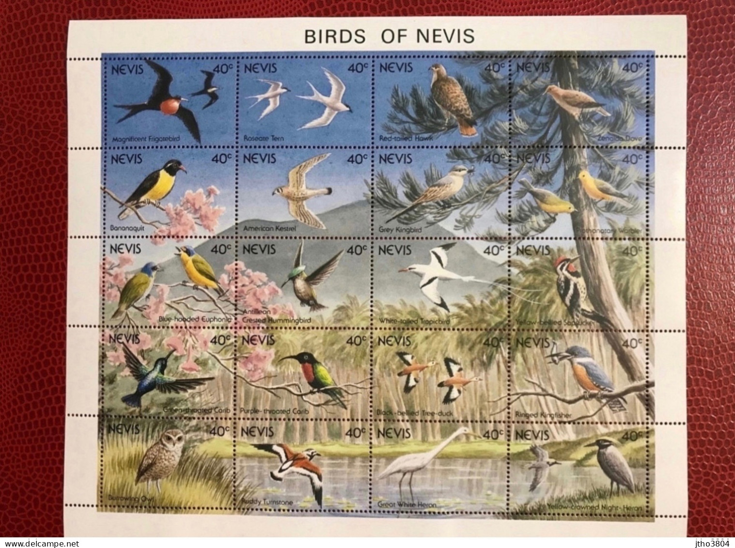 CHRISTOPHE NIEVES NEVIS 1991 Bloc 20v Neuf MNH ** Mi 596 / 615 Pajaro Bird Pássaro Vogel Ucello Oiseau - Perroquets & Tropicaux