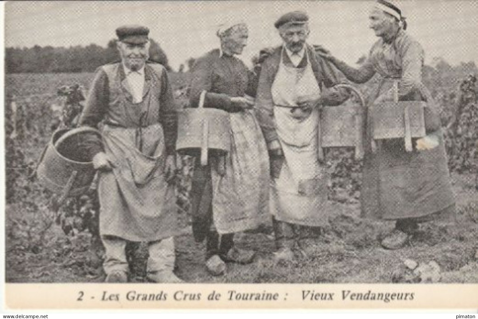 Les Grands Crus De Touraine : Vieux Vendangeurs - Unclassified