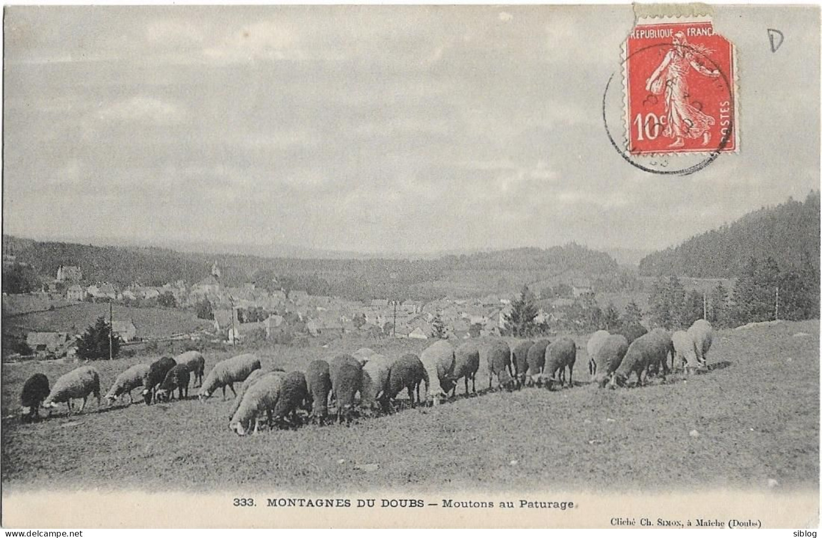 CPA - Montagnes Du DOUBS - Moutons Au Pâturage - Sonstige & Ohne Zuordnung