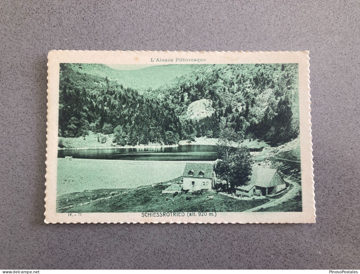 L'Alsace Pittoresque Schiessrotried Carte Postale Postcard - Sonstige & Ohne Zuordnung