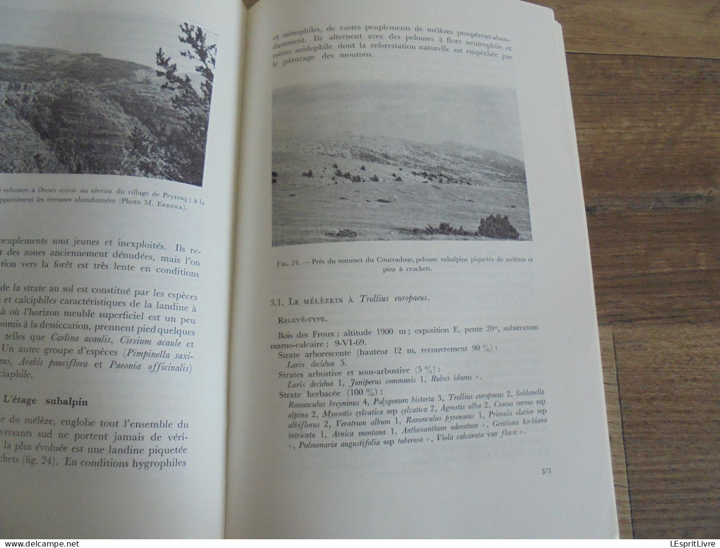 LES NATURALISTES BELGES N° 7 Année 1971 Régionalisme Région Peyresq France Alpes Hte Provence Végétation Botanique Flore